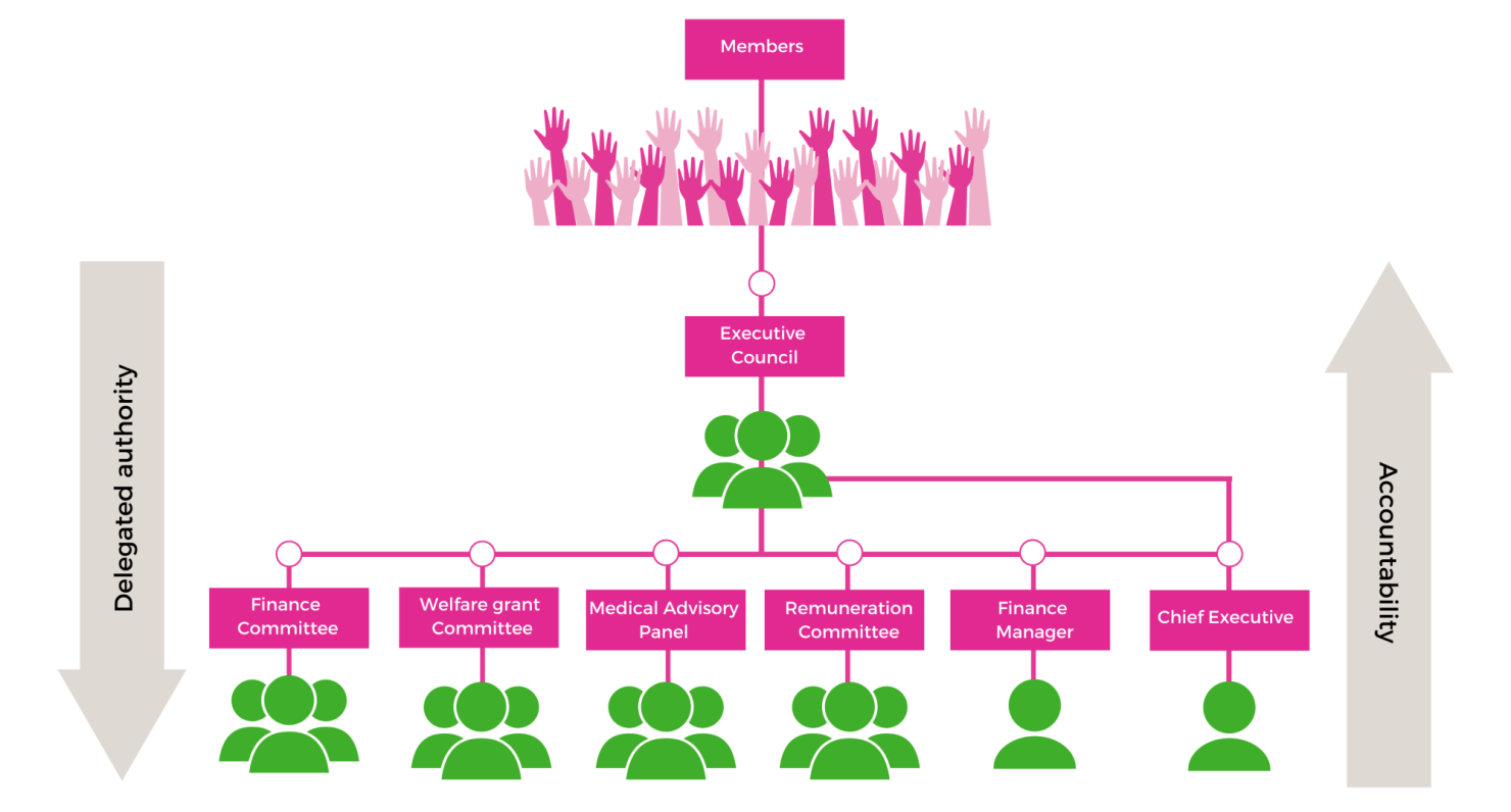 Governance structure